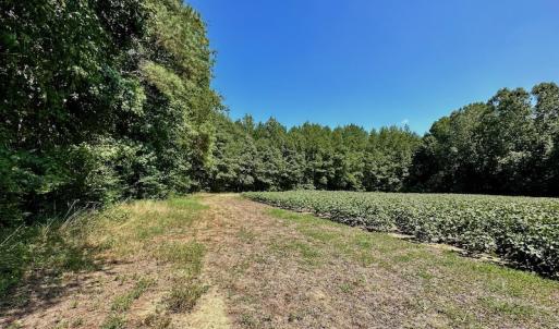 Photo #9 of SOLD property in Off Hargrave Rd, Jackson, NC 41.0 acres