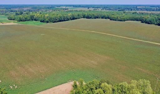 Photo #10 of SOLD property in Off Hargrave Rd, Jackson, NC 41.0 acres