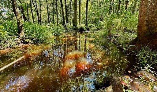 Photo #41 of SOLD property in Off Hargrave Rd, Jackson, NC 41.0 acres