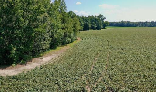 Photo #42 of SOLD property in Off Hargrave Rd, Jackson, NC 41.0 acres