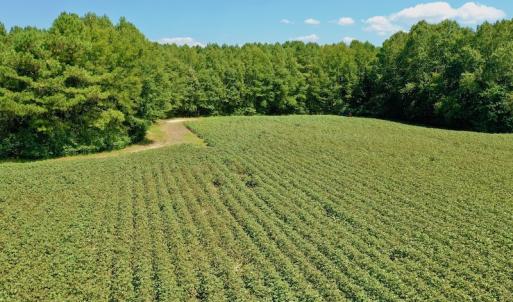 Photo #44 of SOLD property in Off Hargrave Rd, Jackson, NC 41.0 acres