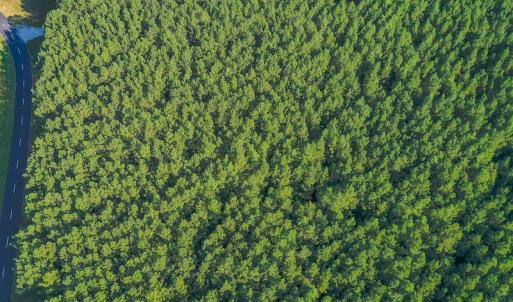 Photo #3 of SOLD property in Off Spencer Pointe Road, Lilesville, NC 2.0 acres