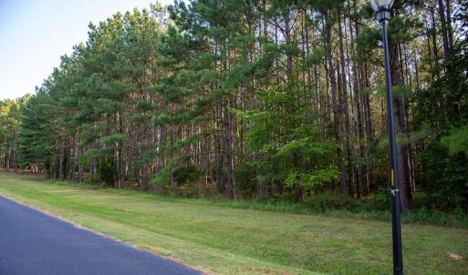 Photo #5 of SOLD property in Off Spencer Pointe Road, Lilesville, NC 2.0 acres