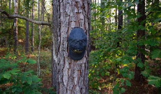 Photo #5 of SOLD property in Off Spencer Pointe Road, Lilesville, NC 2.0 acres