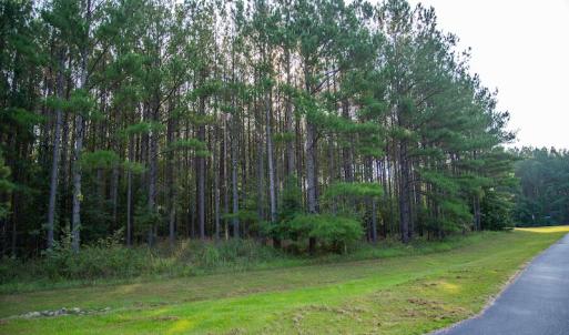 Photo #5 of SOLD property in Off Spencer Pointe Road, Lilesville, NC 2.0 acres