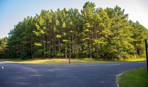 Photo #7 of SOLD property in Off Spencer Pointe Road, Lilesville, NC 2.0 acres