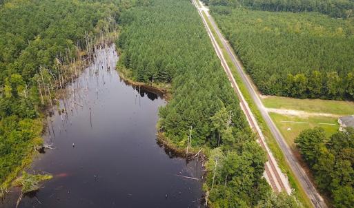 Photo #5 of SOLD property in Off Ridge Rd , Jarratt, VA 13.0 acres