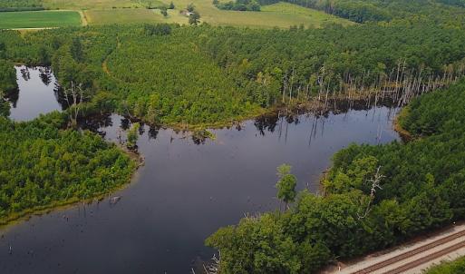 Photo #6 of SOLD property in Off Ridge Rd , Jarratt, VA 13.0 acres