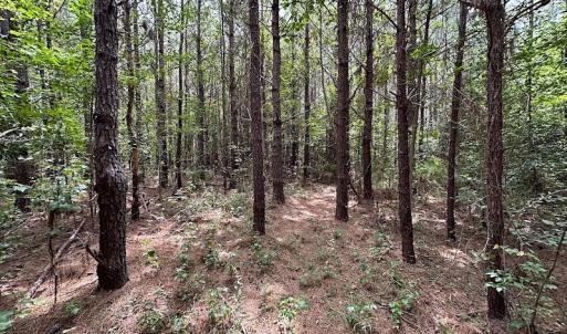 Photo #10 of SOLD property in Off Ridge Rd , Jarratt, VA 13.0 acres