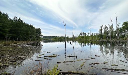 Photo #19 of SOLD property in Off Ridge Rd , Jarratt, VA 13.0 acres