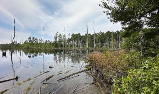 Photo #20 of SOLD property in Off Ridge Rd , Jarratt, VA 13.0 acres