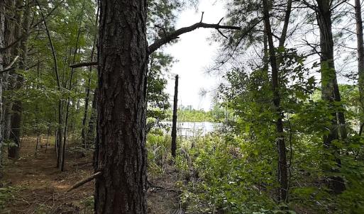 Photo #21 of SOLD property in Off Ridge Rd , Jarratt, VA 13.0 acres