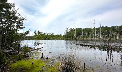 Photo #22 of SOLD property in Off Ridge Rd , Jarratt, VA 13.0 acres