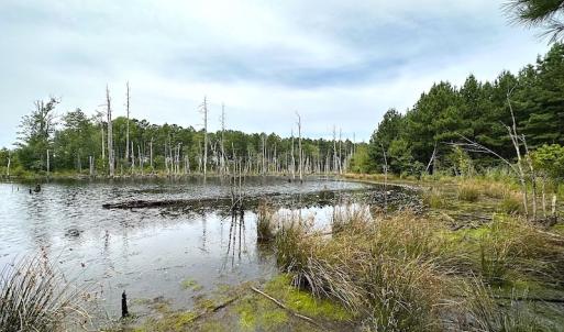 Photo #23 of SOLD property in Off Ridge Rd , Jarratt, VA 13.0 acres