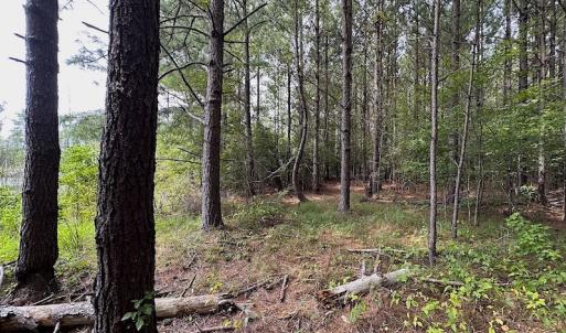 Photo #26 of SOLD property in Off Ridge Rd , Jarratt, VA 13.0 acres