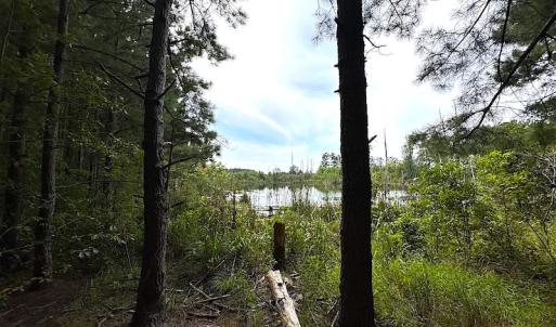 Photo #27 of SOLD property in Off Ridge Rd , Jarratt, VA 13.0 acres