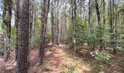 Photo #28 of SOLD property in Off Ridge Rd , Jarratt, VA 13.0 acres
