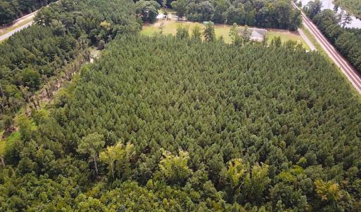 Photo #5 of SOLD property in Off Blue Star Highway , Jarratt, VA 10.0 acres
