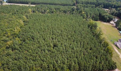 Photo #6 of SOLD property in Off Blue Star Highway , Jarratt, VA 10.0 acres