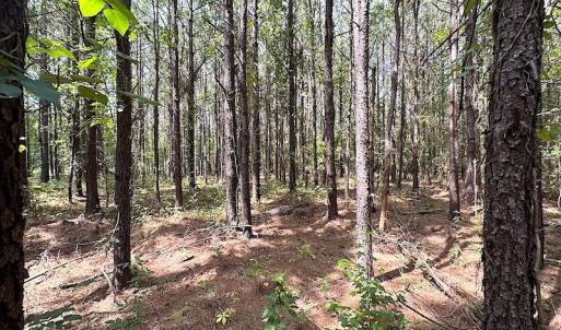 Photo #10 of SOLD property in Off Blue Star Highway , Jarratt, VA 10.0 acres