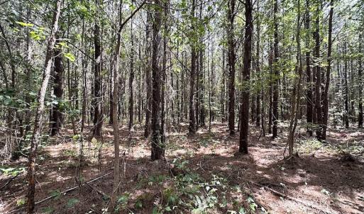 Photo #12 of SOLD property in Off Blue Star Highway , Jarratt, VA 10.0 acres