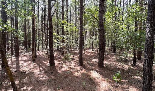 Photo #14 of SOLD property in Off Blue Star Highway , Jarratt, VA 10.0 acres