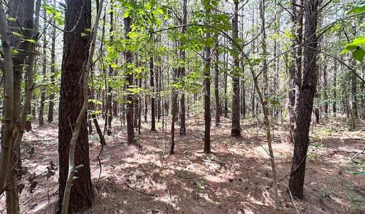 Photo #17 of SOLD property in Off Blue Star Highway , Jarratt, VA 10.0 acres
