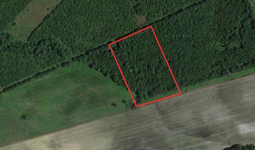 Photo #1 of Off Hwy 50, Rose Hill, NC 4.3 acres