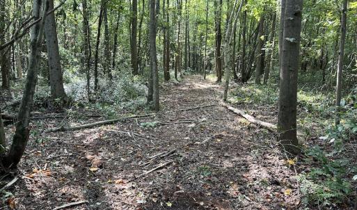 Photo #11 of Off Hwy 50, Rose Hill, NC 4.3 acres
