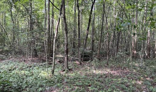 Photo #12 of Off Hwy 50, Rose Hill, NC 4.3 acres