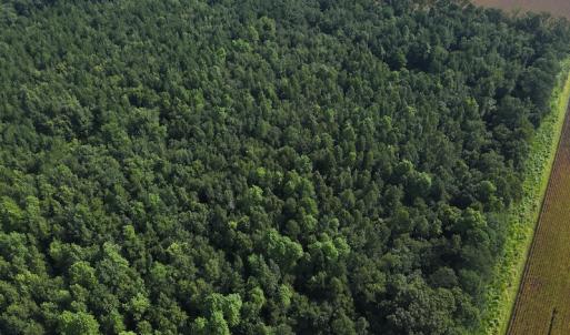 Photo #3 of Off Hwy 50, Rose Hill, NC 4.3 acres