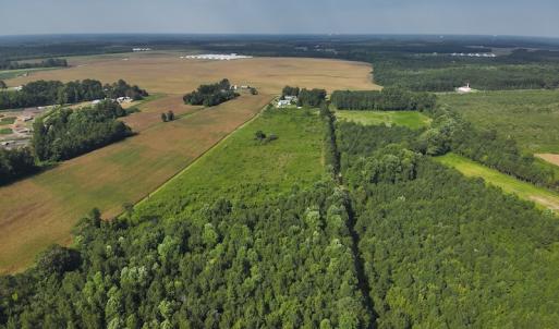Photo #6 of Off Hwy 50, Rose Hill, NC 4.3 acres