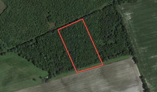 Photo #1 of Off Hwy 50, Rose Hill, NC 4.3 acres