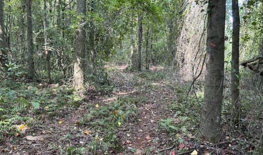 Photo #9 of Off Hwy 50, Rose Hill, NC 4.3 acres