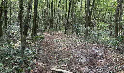 Photo #10 of Off Hwy 50, Rose Hill, NC 4.3 acres