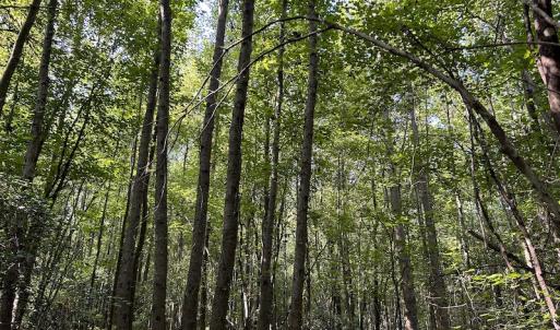 Photo #12 of Off Hwy 50, Rose Hill, NC 4.3 acres