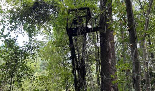 Photo #13 of Off Hwy 50, Rose Hill, NC 4.3 acres