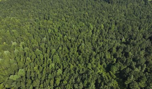Photo #3 of Off Hwy 50, Rose Hill, NC 4.3 acres