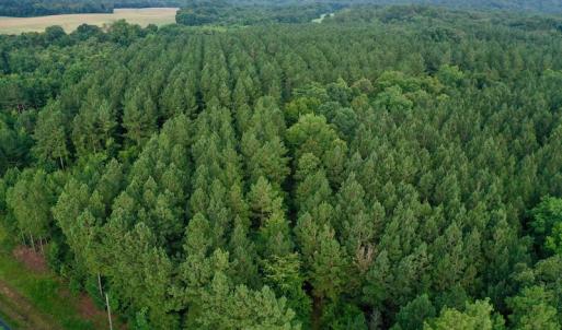 Photo #3 of SOLD property in 1610 Cedar Grove Church Rd, Polkton, NC 40.6 acres