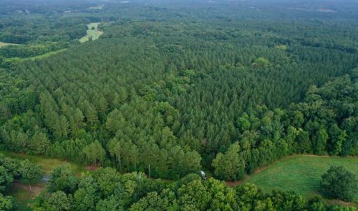 Photo #4 of SOLD property in 1610 Cedar Grove Church Rd, Polkton, NC 40.6 acres
