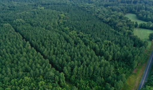 Photo #5 of SOLD property in 1610 Cedar Grove Church Rd, Polkton, NC 40.6 acres