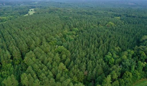 Photo #2 of SOLD property in 1610 Cedar Grove Church Rd, Polkton, NC 40.6 acres