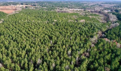 Photo #3 of SOLD property in Off Avery Road SR 1207, Polkton, NC 45.0 acres