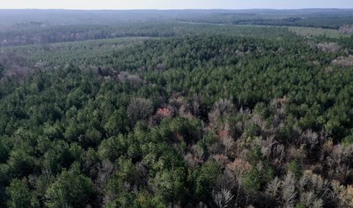Photo #4 of SOLD property in Off Avery Road SR 1207, Polkton, NC 45.0 acres