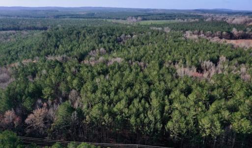 Photo #5 of SOLD property in Off Avery Road SR 1207, Polkton, NC 45.0 acres
