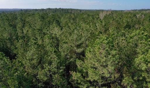 Photo #6 of SOLD property in Off Avery Road SR 1207, Polkton, NC 45.0 acres