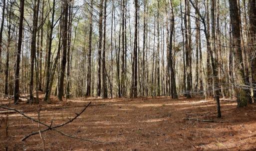 Photo #7 of SOLD property in Off Avery Road SR 1207, Polkton, NC 45.0 acres