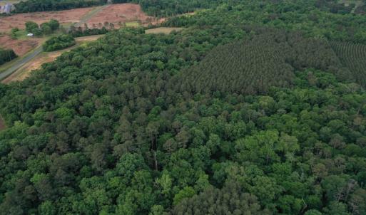 Photo #2 of SOLD property in Off Kiker Road, Peachland, NC 45.1 acres