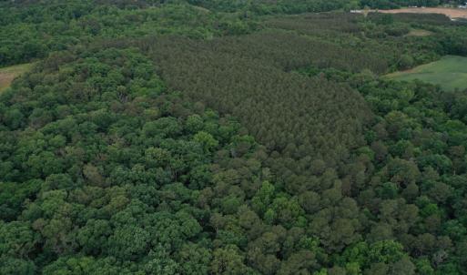 Photo #3 of SOLD property in Off Kiker Road, Peachland, NC 45.1 acres