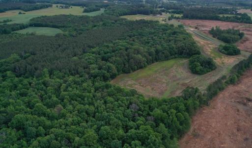 Photo #4 of SOLD property in Off Kiker Road, Peachland, NC 45.1 acres